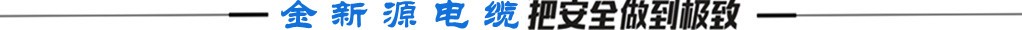 金新源核心產品把安全做到極致